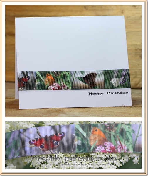 hello wednesday butterfly card